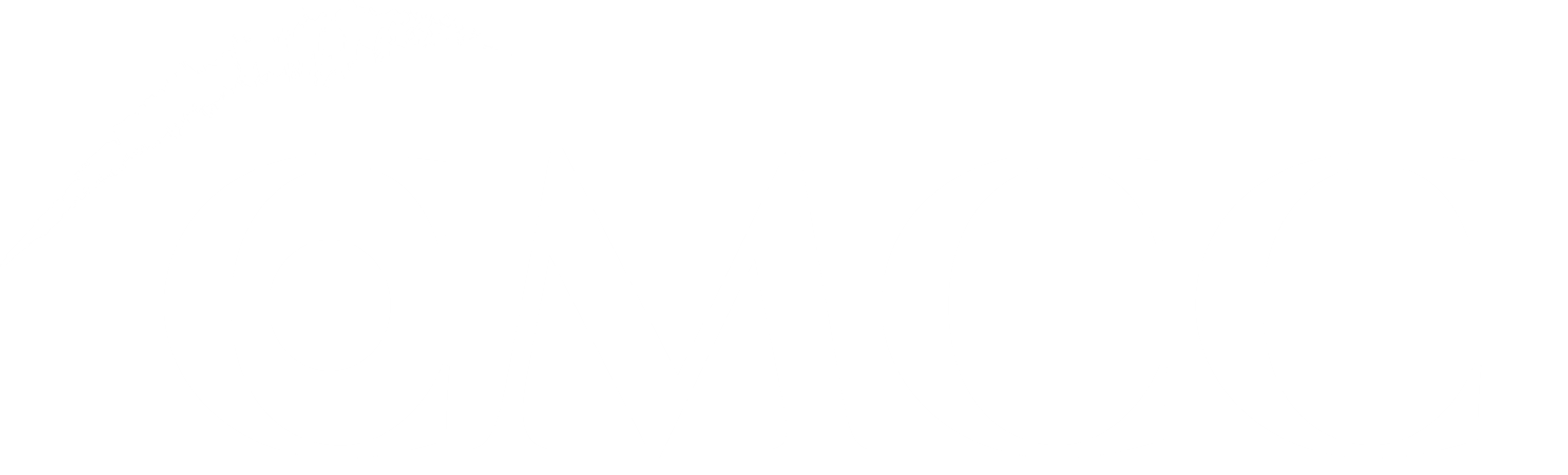 CMCC Logo